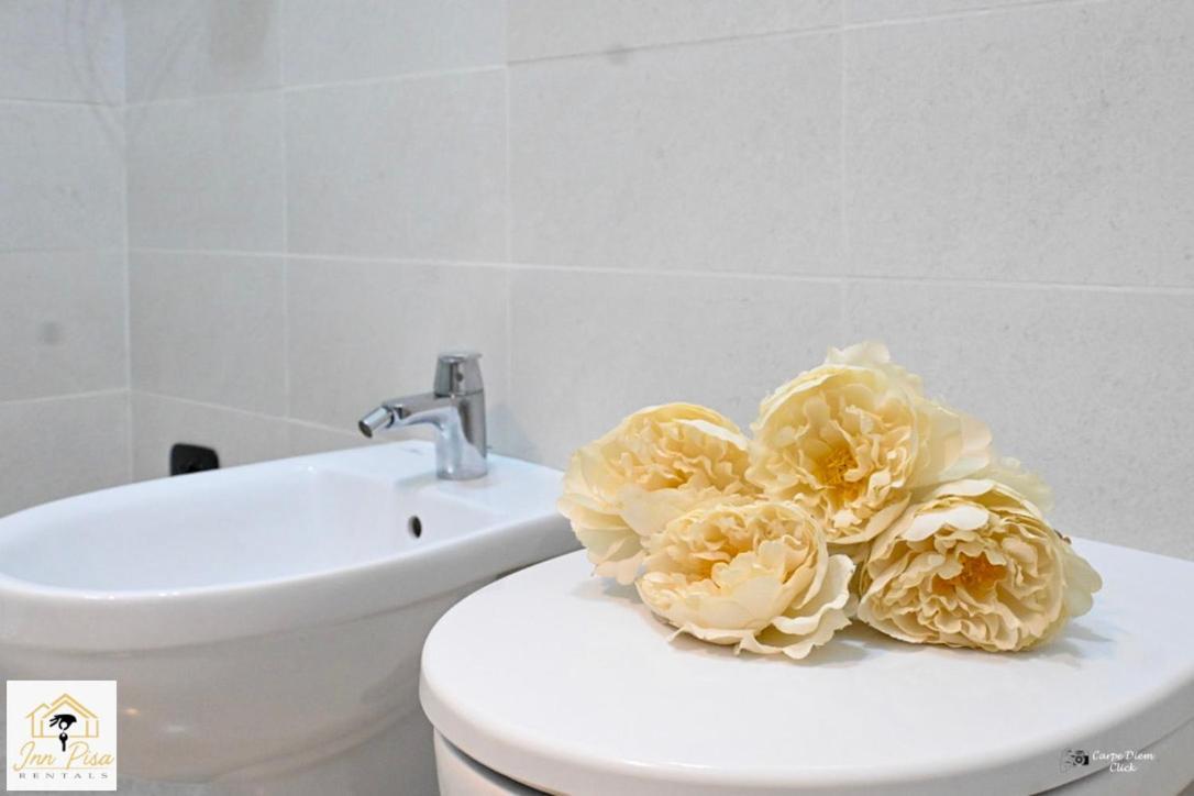Inn Pisa Rentals 2- Starlight Central Flat 外观 照片